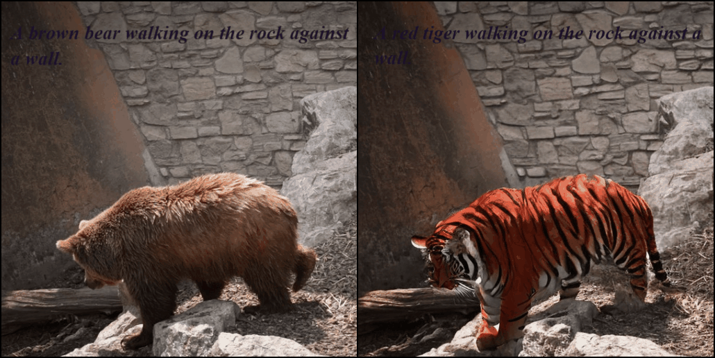 Bear tiger lion leopard transformation